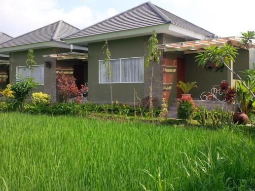 Villa and Warung Sawah Gondang Legi