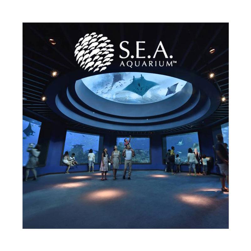 Discovery Online - S.E.A Aquarium E-Ticket