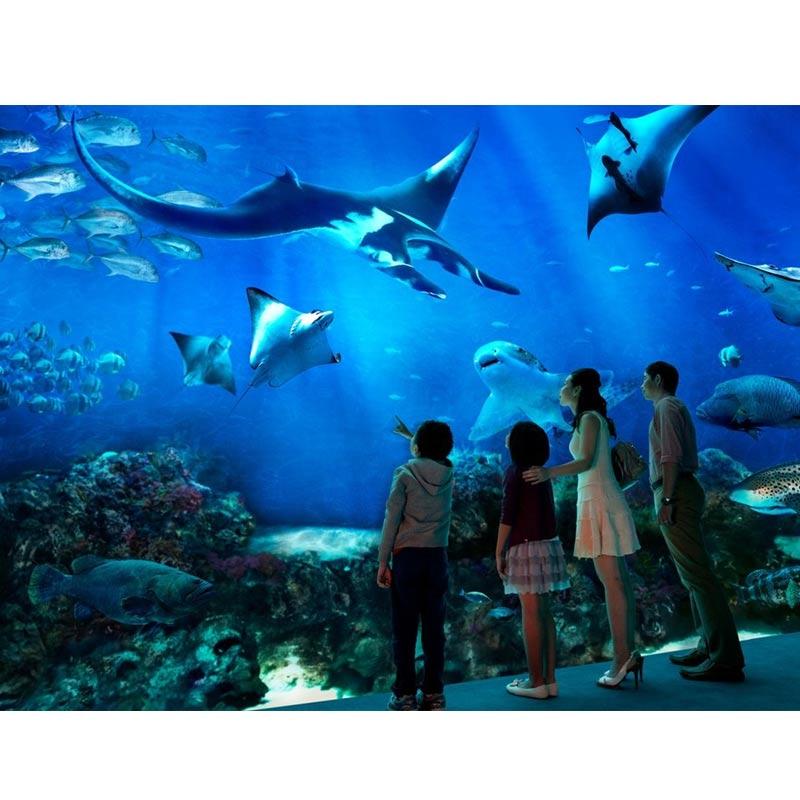 Infinity Travel - S.E.A Aquarium Singapore E-Ticket [Adult]
