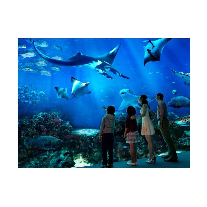 Infinity Travel S.E.A Aquarium Singapore E-tiket [Anak]