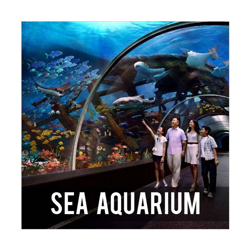 Sea Aquarium Singapore Eticket Anak