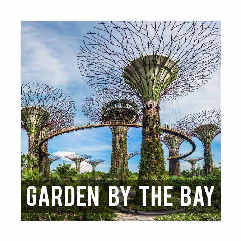 Garden By The Bay Singapore E-ticket [Anak]