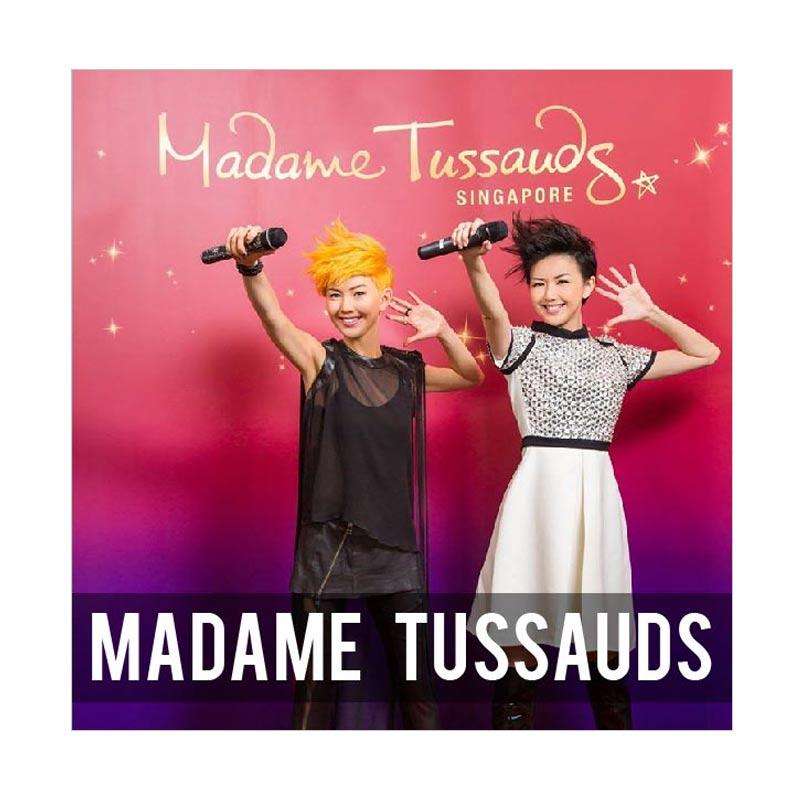 Singapore - Madame Tussauds Museum E-Ticket