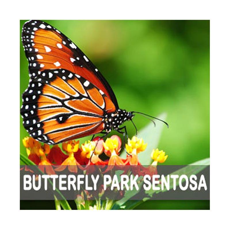 SINGAPORE Butterfly Park Sentosa Island E-Ticket