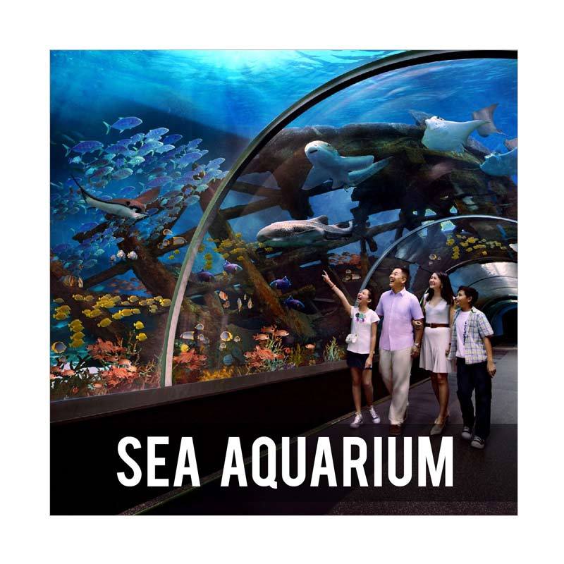Joshua Tour - SINGAPORE Sea Aquarium E-ticket [Senior]