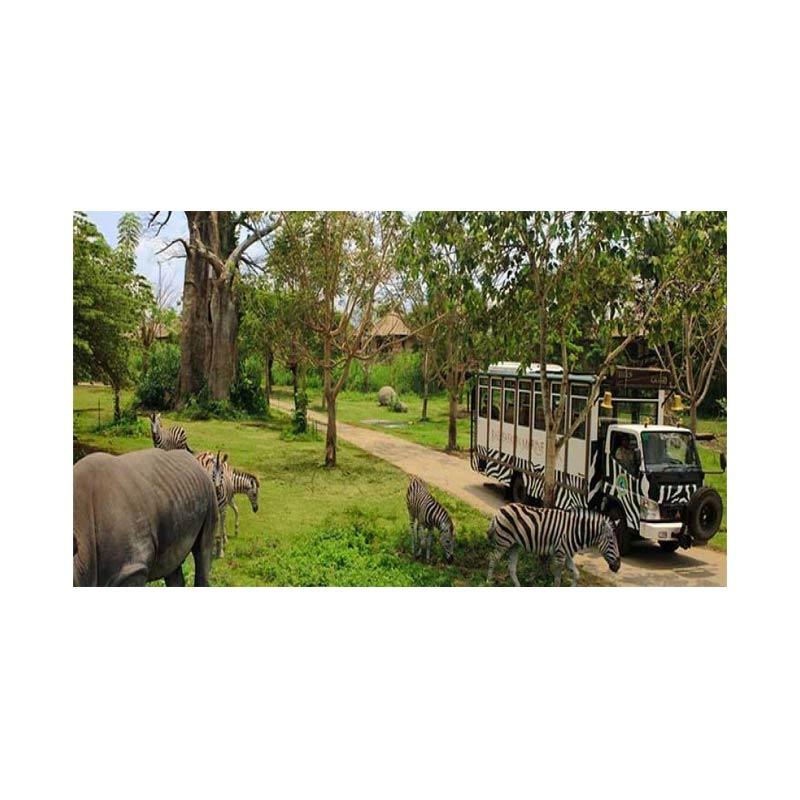 LapakTrip Jelajah Taman Safari Bali Safari Explorer Day Tour Paket Wisata Domestik