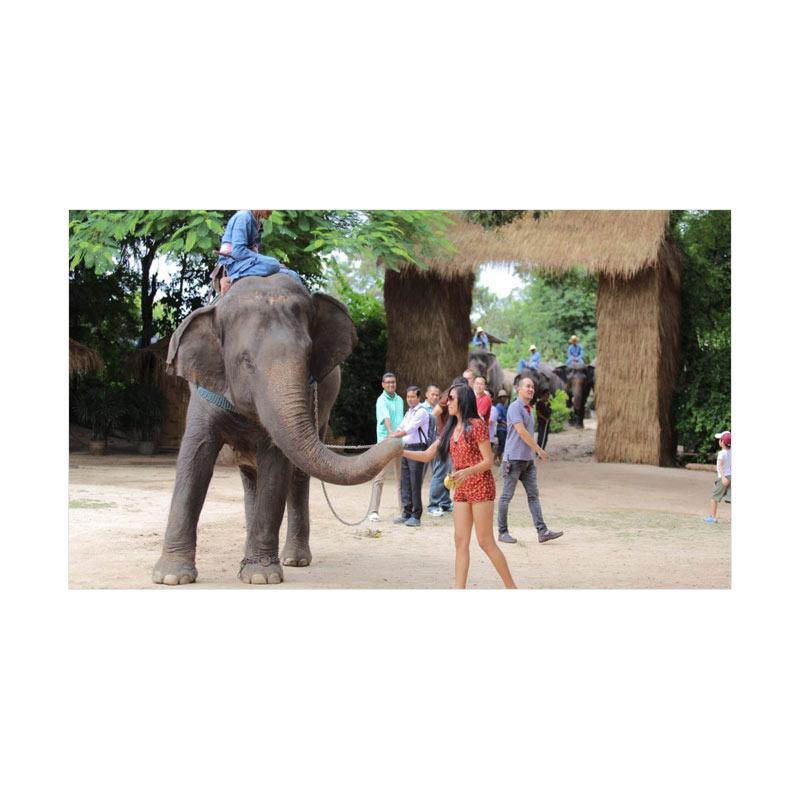 LapakTrip - Day Tour Elephant Sanctuary Phuket Swim with Elephants Paket Wisata Internasional