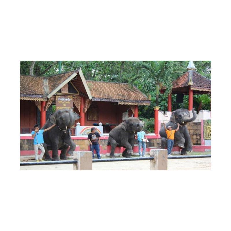 LapakTrip - Day Tour Elephant Show Thai Boxing and Rice Farming Tour  Paket Wisata Internasional