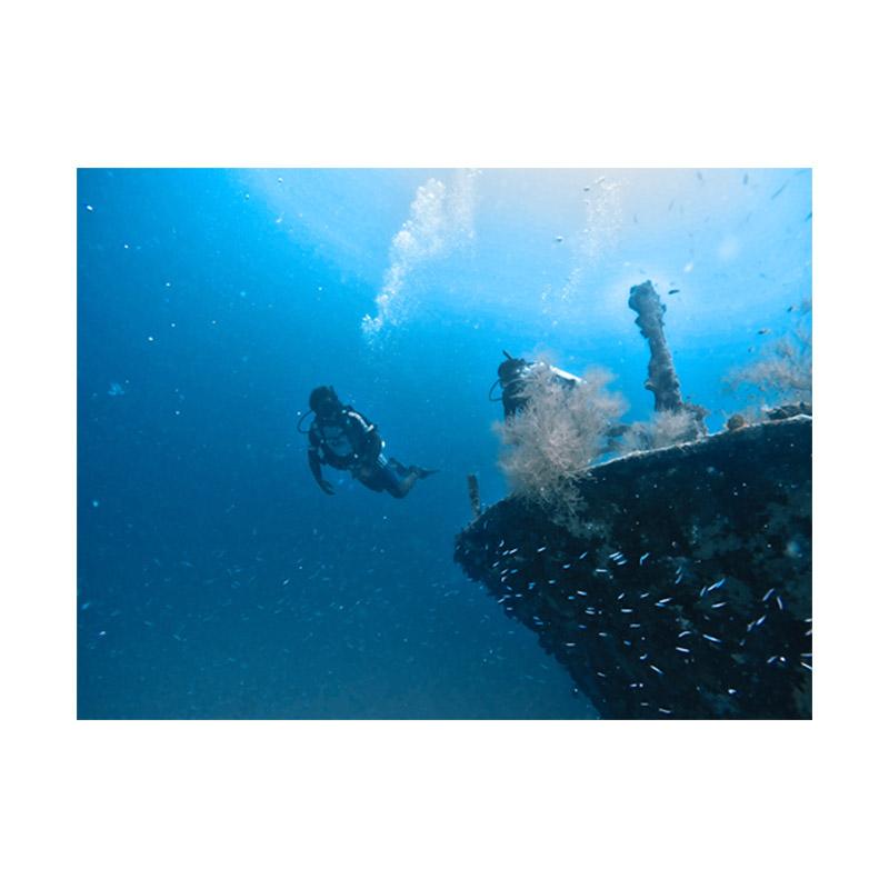 Paket Diving Maldives Maafushi Paket Wisata Internasional [4D3N / 6 Dives]