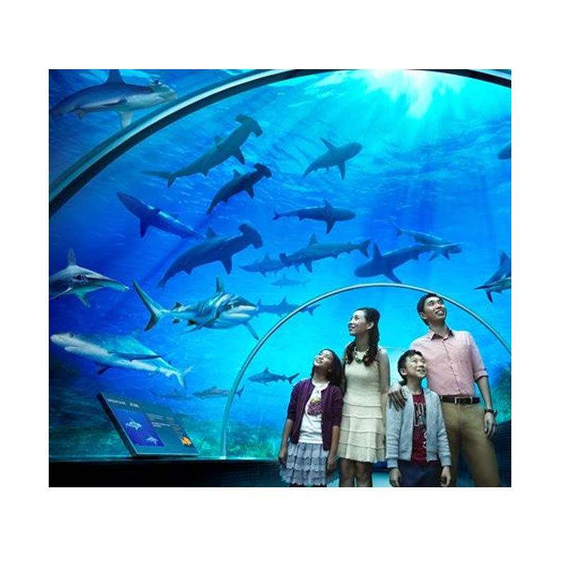 Point Tour - SEA Aquarium Singapore E-Ticket [Child]