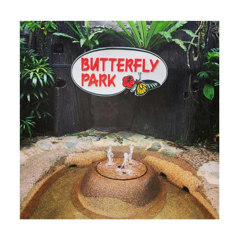 Point Tour Butterfly Park & Insect Kingdom E-Ticket [Adult]