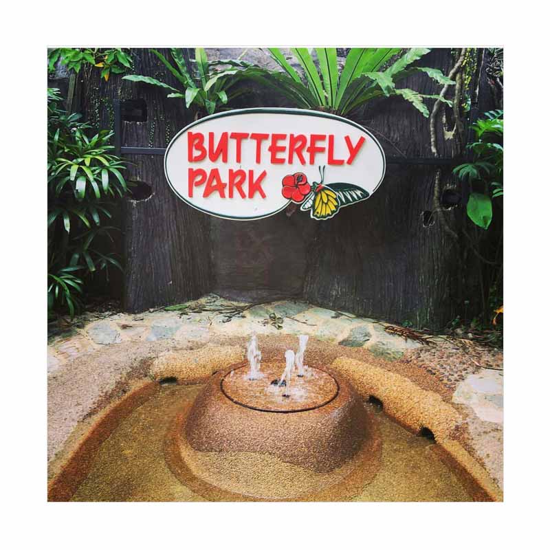 Point Tour Butterfly Park & Insect Kingdom E-Ticket [Child]