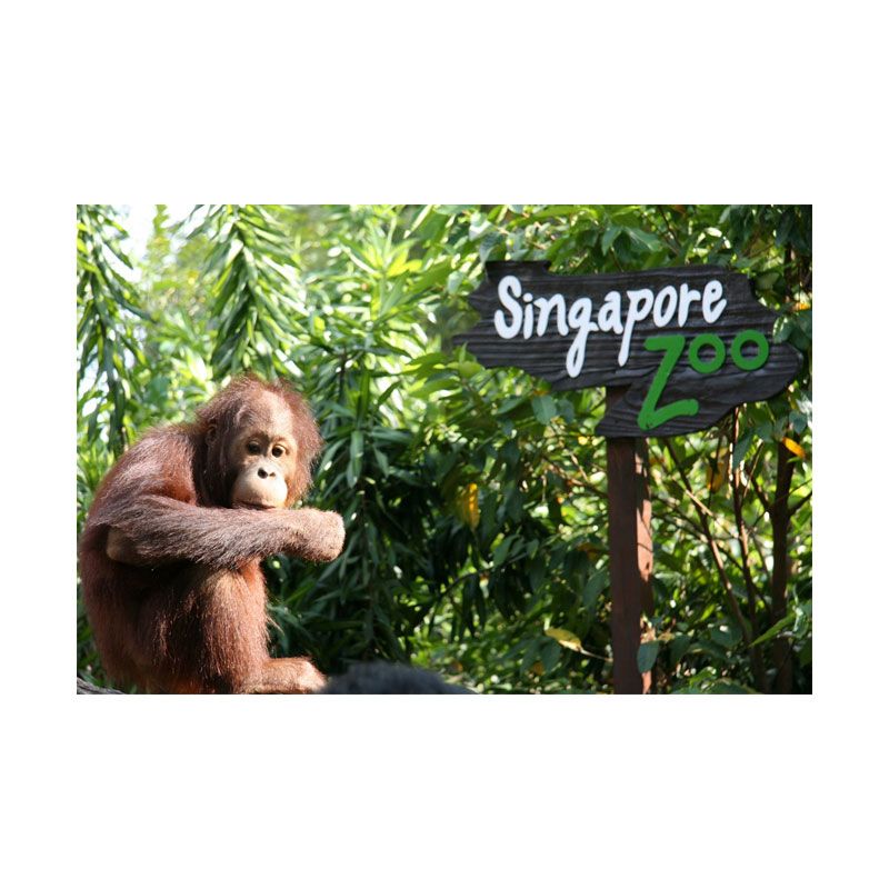 Travel Station - Singapore Zoo Admission & Tram E-Ticket Paket Perjalanan Wisata [Child]