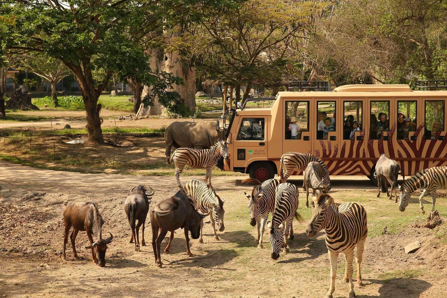 [LapakTrip] Tiket Masuk Taman Safari Bali - 1 Dewasa - Elephant Ride