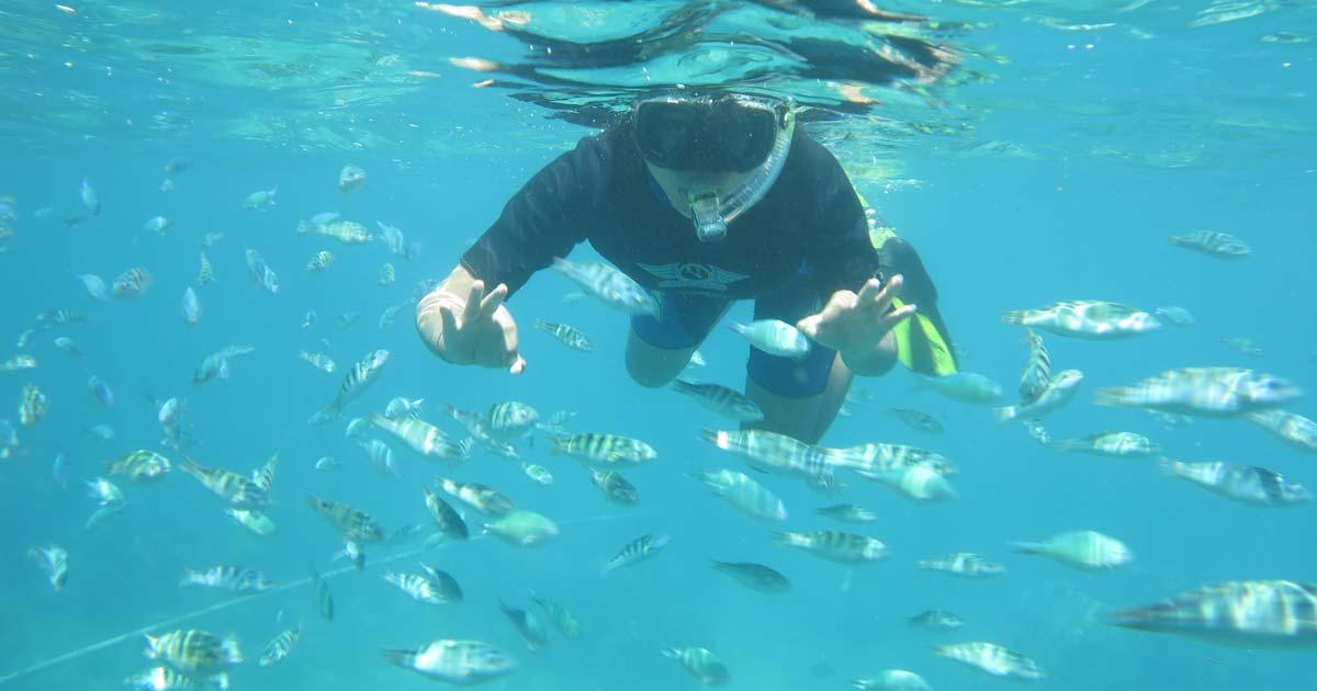 [LapakTrip] 60 Menit Snorkling di Tanjung Benoa