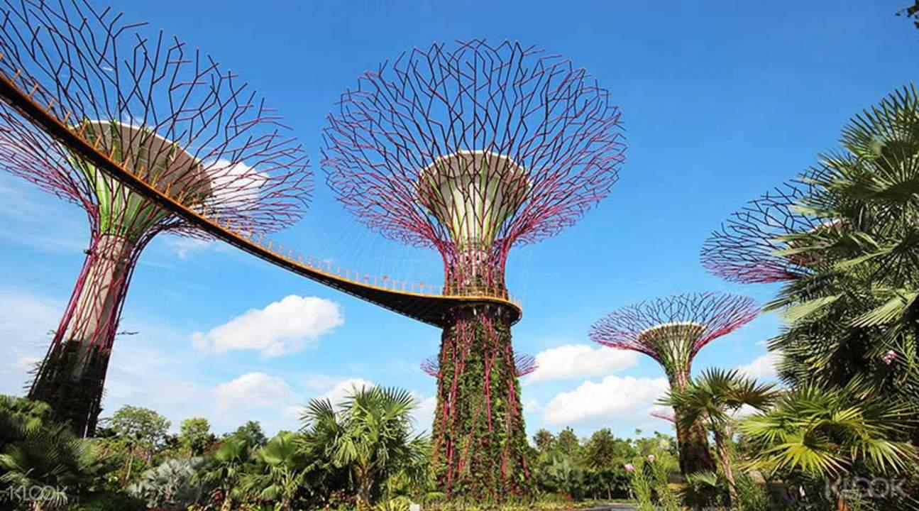 Tour Singapore – 3D2N Duck Tour &Gardens by The Bay Rp1.897.000