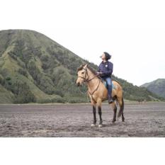 CNT Travel Bromo Midnight for 2 Pax