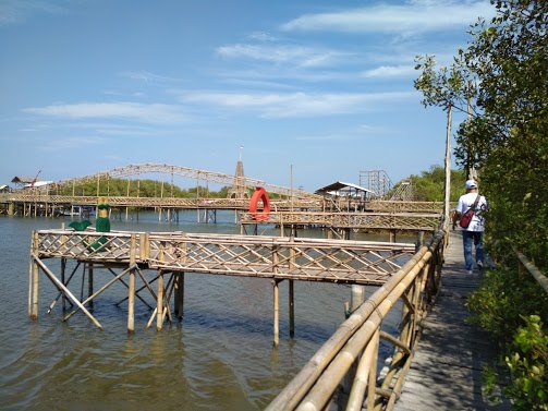 Rental Motor di Jogja untuk Menuju ke Mangrove Pantai Pasir Kadilangu