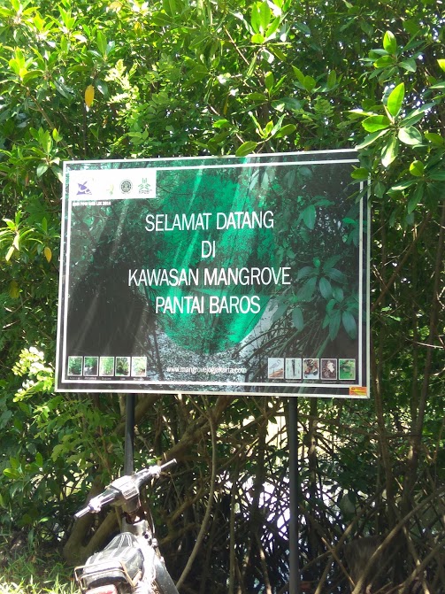 Kawasan Konservasi Mangrove Baros