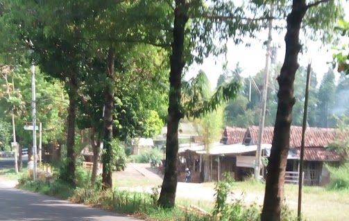 Rental Motor di Jogja untuk Menuju ke Desa Wisata Sendari
