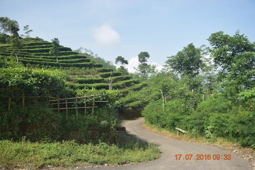 Desa Wisata Nglinggo