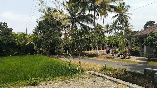 Desa Wisata Gabugan