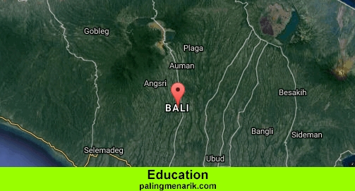 Best Education in  Bali