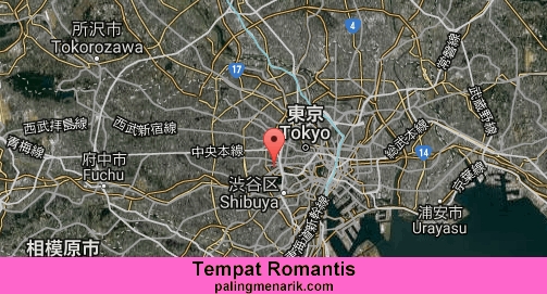 Tempat Romantis di Tokyo