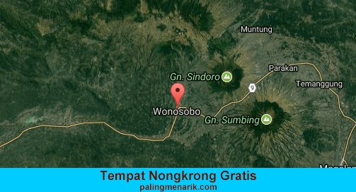Tempat Nongkrong Gratis di Wonosobo