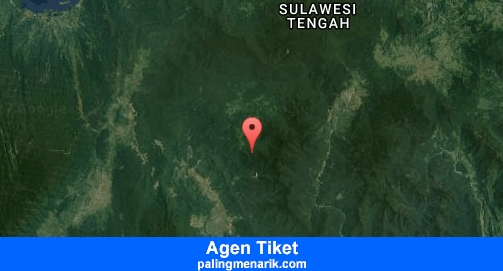 Agen Tiket Pesawat Bus Murah di Morowali utara
