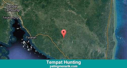 Daftar Tempat Hunting di Lampung Selatan
