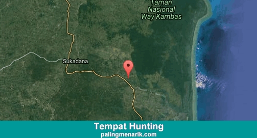 Daftar Tempat Hunting di Lampung Timur
