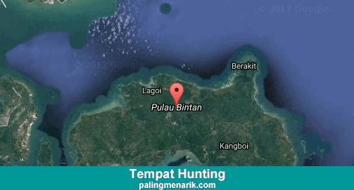 Daftar Tempat Hunting di Bintan