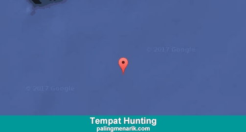 Daftar Tempat Hunting di Natuna