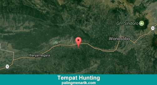 Daftar Tempat Hunting di Banjarnegara