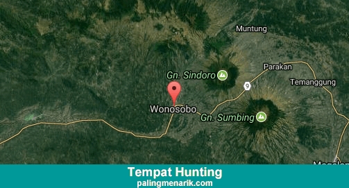 Daftar Tempat Hunting di Wonosobo