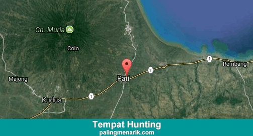 Daftar Tempat Hunting di Pati