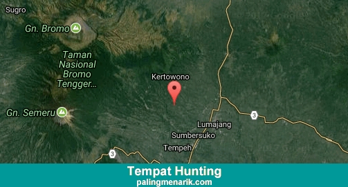 Daftar Tempat Hunting di Lumajang