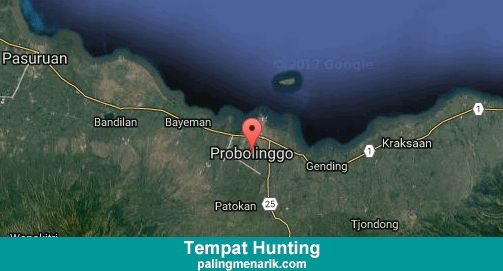 Daftar Tempat Hunting di Probolinggo