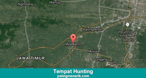 Daftar Tempat Hunting di Mojokerto