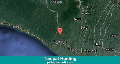Daftar Tempat Hunting di Tabanan