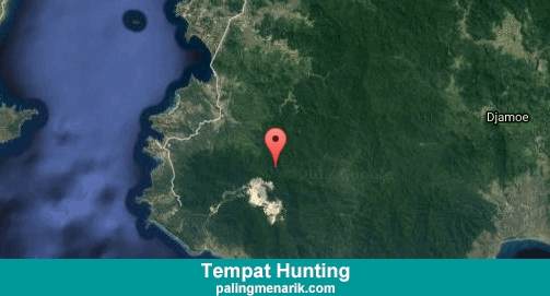 Daftar Tempat Hunting di Sumbawa Barat