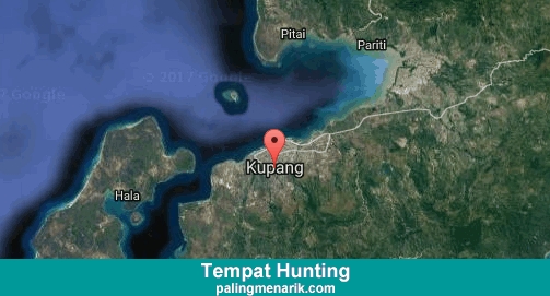 Daftar Tempat Hunting di Kupang