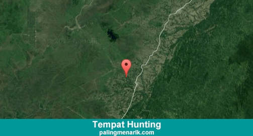 Daftar Tempat Hunting di Hulu Sungai Selatan