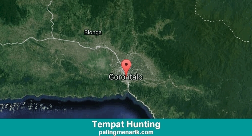 Daftar Tempat Hunting di Kota Gorontalo