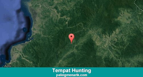 Daftar Tempat Hunting di Mamuju