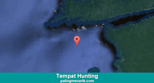 Daftar Tempat Hunting di Raja Ampat