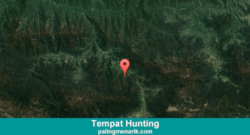 Daftar Tempat Hunting di Puncak