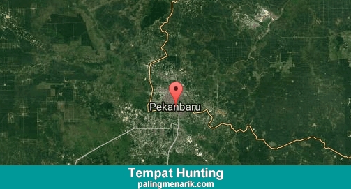 Daftar Tempat Hunting di Pekanbaru