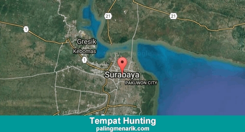 Daftar Tempat Hunting di Surabaya